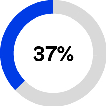 piechart1_stock options-01.jpg